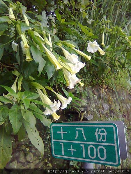 影像4637