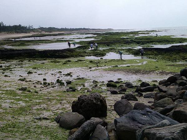 WP_001378.jpg