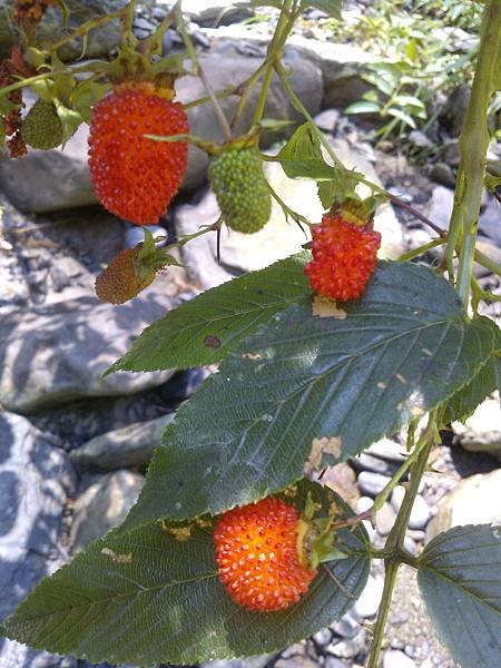 WP_003710.jpg