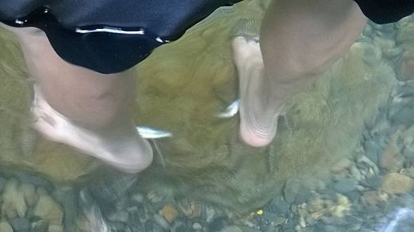 WP_20140822_140.jpg