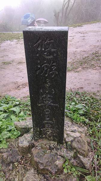 IMAG3368.jpg