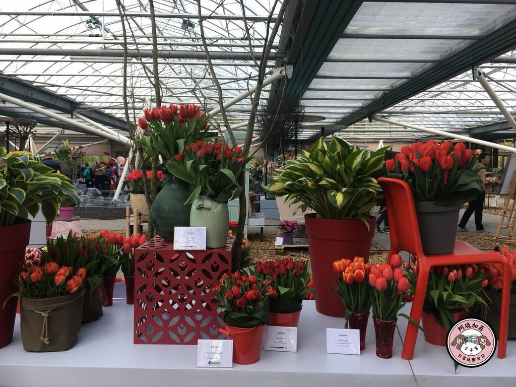hol2019003-27.jpg