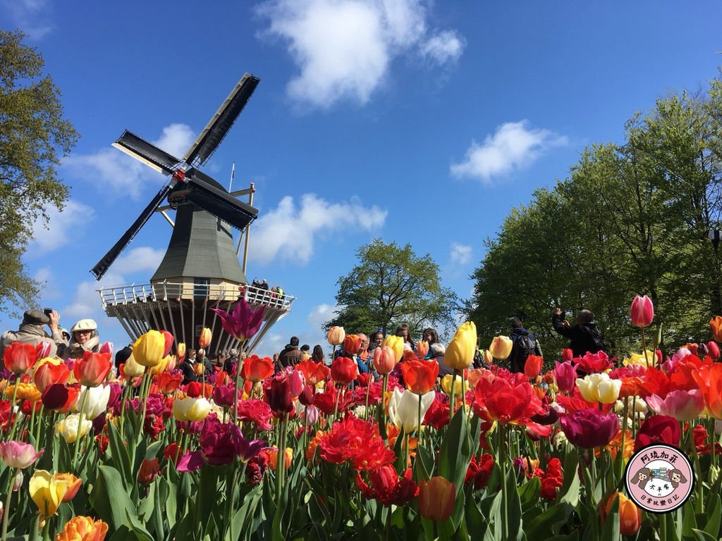 hol2019003-34.jpg