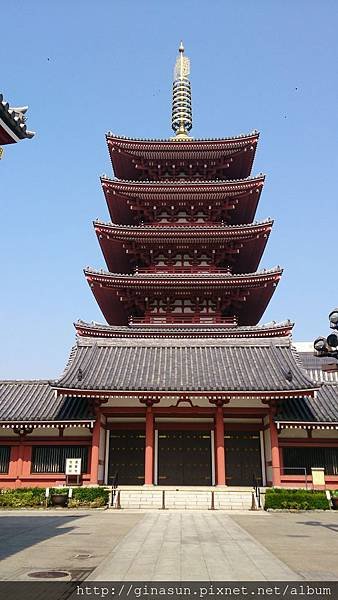 DSC_1353.JPG