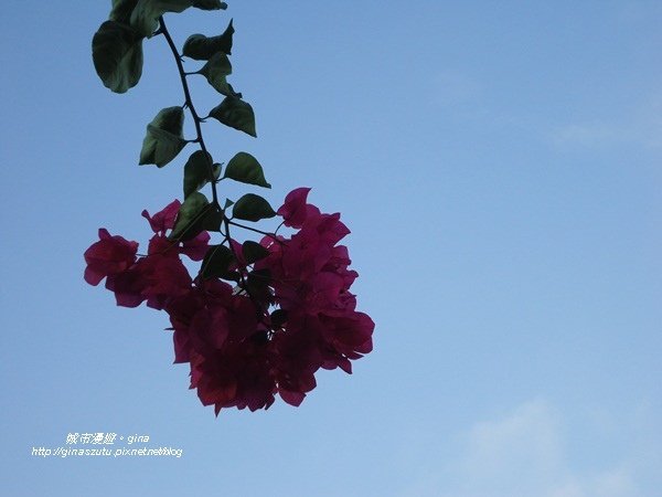 DSC04151.JPG