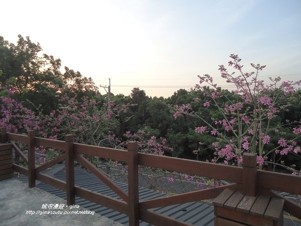 DSC03880.JPG