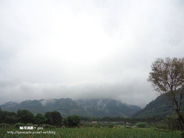 DSC09253.JPG