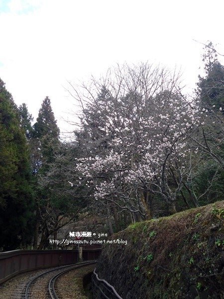 DSC00270.JPG