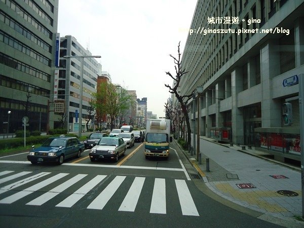 DSC08050.JPG