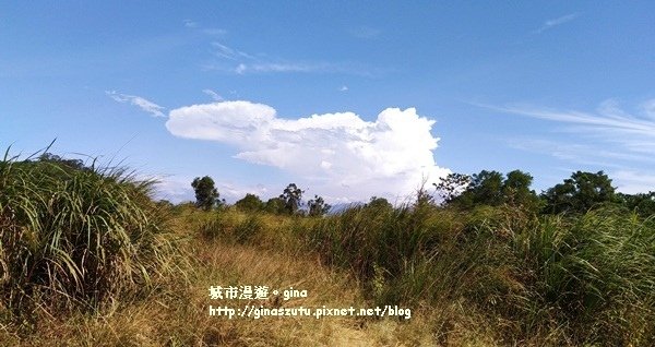 IMG_2581.jpg
