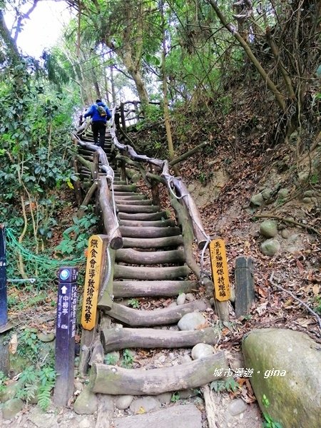 IMG_20190127_111331.jpg
