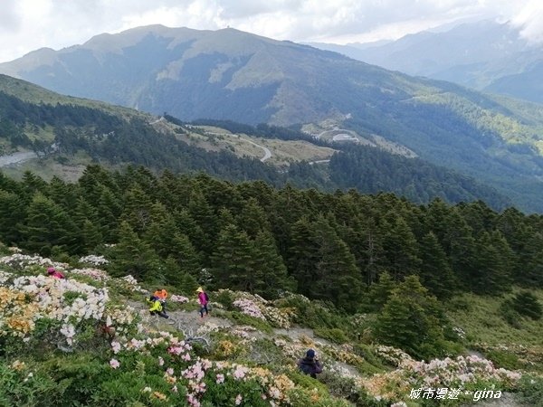 【南投仁愛】最親民的百岳。No70百岳~石門山~3237M