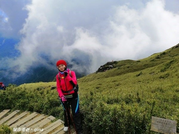 【南投仁愛】百岳賞花嘉年華。No35百岳~合歡東峰3421M