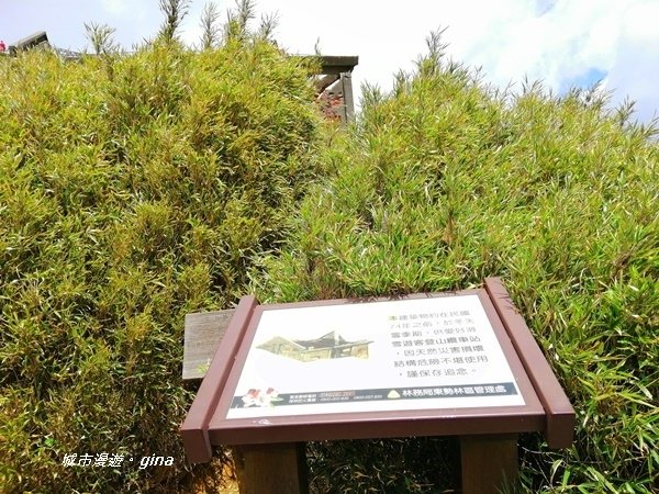 【南投仁愛】百岳賞花嘉年華。No35百岳~合歡東峰3421M