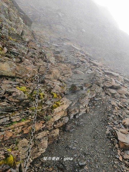 【嘉義。阿里山鄉】站上台灣之巔不只是感動而已。No1台灣百岳