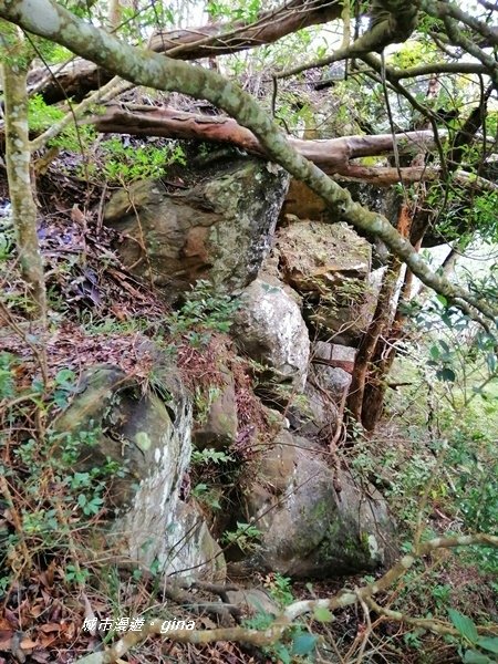 【苗栗南庄】優美山林綠意盎然。 三角湖山 x No32小百岳