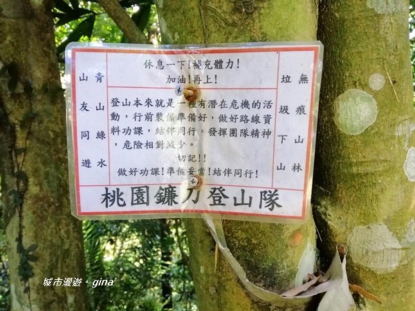 【桃園大溪】挑戰陡坡攀爬岩壁。 No21小百岳~金面山 66