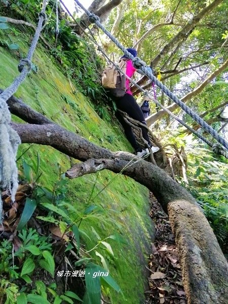 【桃園大溪】挑戰陡坡攀爬岩壁。 No21小百岳~金面山 66