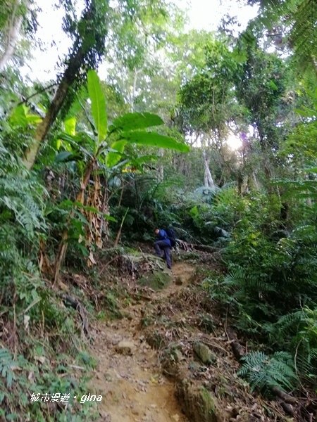 【新竹關西】山頂熱鬧歡笑聲。 No25小百岳石牛山 671M