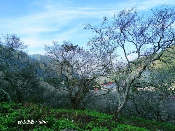 IMG_20200104_092119.jpg