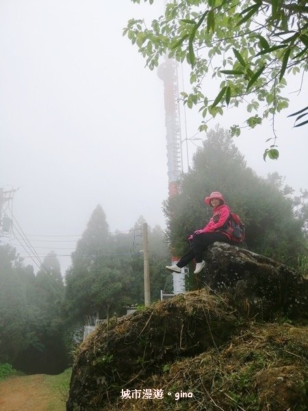 【新竹北埔】蓊鬱山林。No30小百岳~五指山~五連峰 106