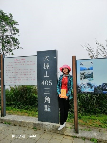 【新北樹林】趣味檢小百岳。No15小百岳大棟山405M