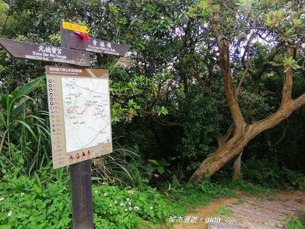 【新北樹林】趣味檢小百岳。No15小百岳大棟山405M