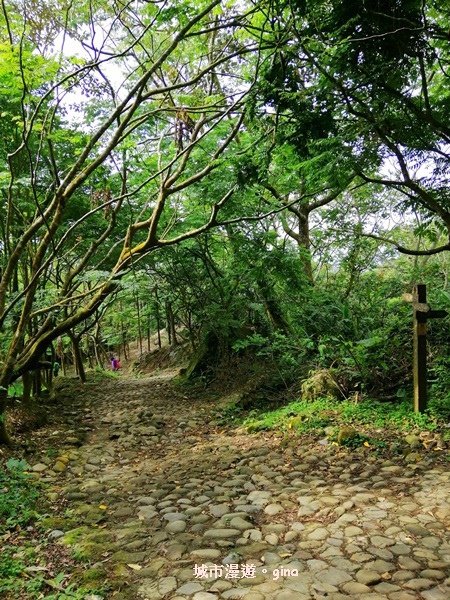 【台南白河】台南第一高峰。 No63小百岳~關仔嶺大凍山