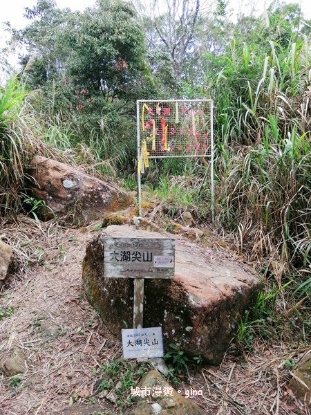 【嘉義番路】荒草漫漫。 No61小百岳~大湖尖山步道1359
