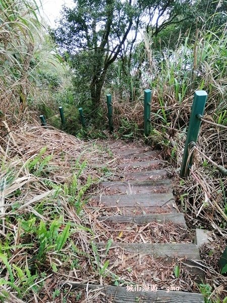 【嘉義番路】荒草漫漫。 No61小百岳~大湖尖山步道1359