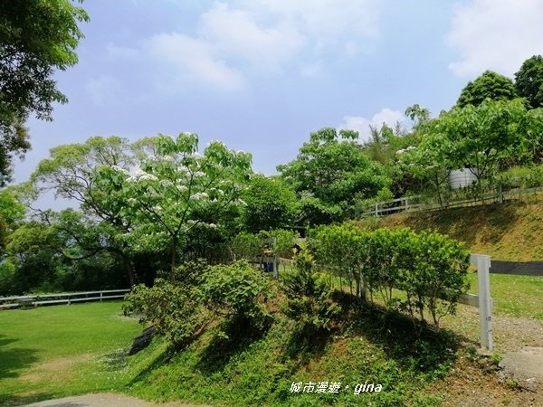 【苗栗公館】體驗山居樂。 開礦露營區