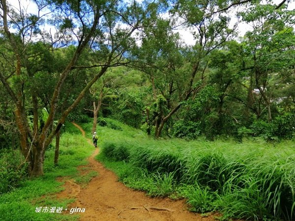 【苗栗造橋】林相豐富的質樸古道。 口山古道