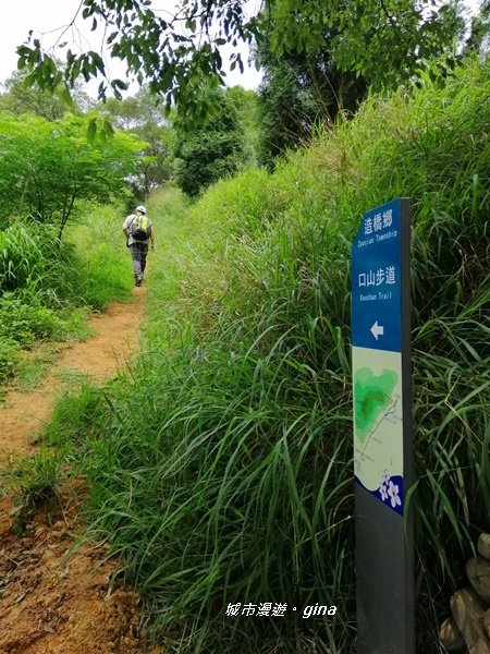 【苗栗造橋】林相豐富的質樸古道。 口山古道