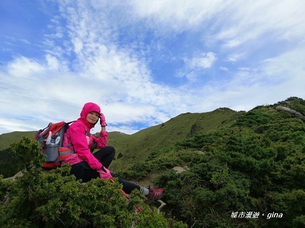 【南投仁愛】箭竹草原全視野~合歡山群最高峰。 No34百岳~