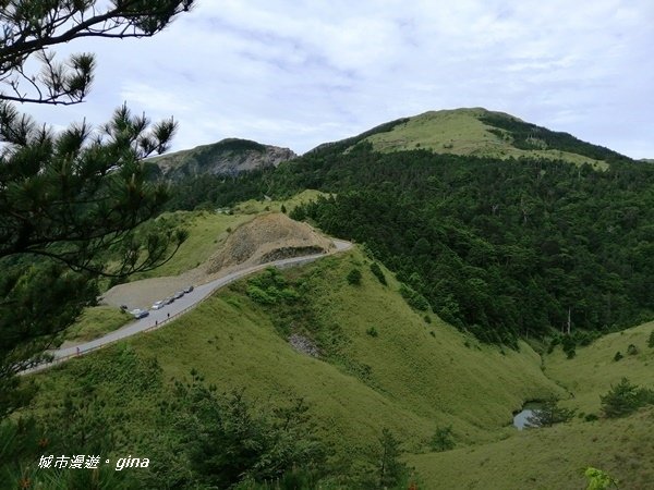 【南投仁愛】箭竹草原全視野~合歡山群最高峰。 No34百岳~