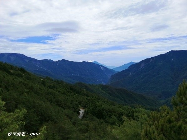 【南投仁愛】箭竹草原全視野~合歡山群最高峰。 No34百岳~