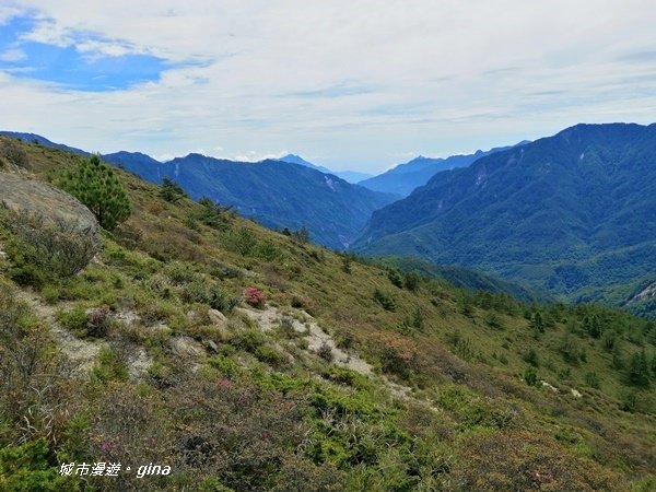 【南投仁愛】箭竹草原全視野~合歡山群最高峰。 No34百岳~