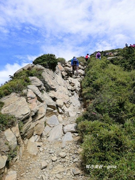 【南投仁愛】箭竹草原全視野~合歡山群最高峰。 No34百岳~