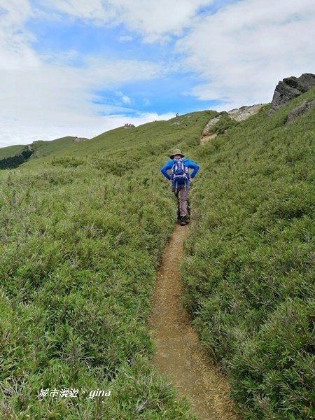 【南投仁愛】箭竹草原全視野~合歡山群最高峰。 No34百岳~