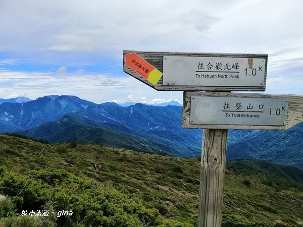 【南投仁愛】箭竹草原全視野~合歡山群最高峰。 No34百岳~