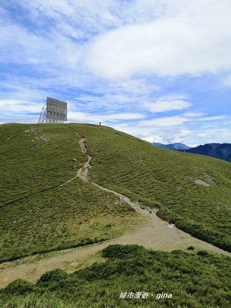 【南投仁愛】箭竹草原全視野~合歡山群最高峰。 No34百岳~