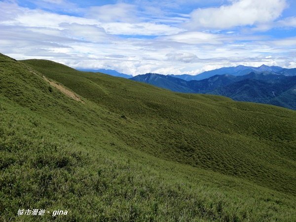 【南投仁愛】箭竹草原全視野~合歡山群最高峰。 No34百岳~