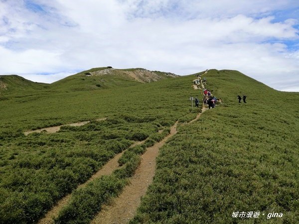 【南投仁愛】箭竹草原全視野~合歡山群最高峰。 No34百岳~