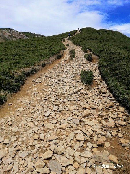 【南投仁愛】箭竹草原全視野~合歡山群最高峰。 No34百岳~