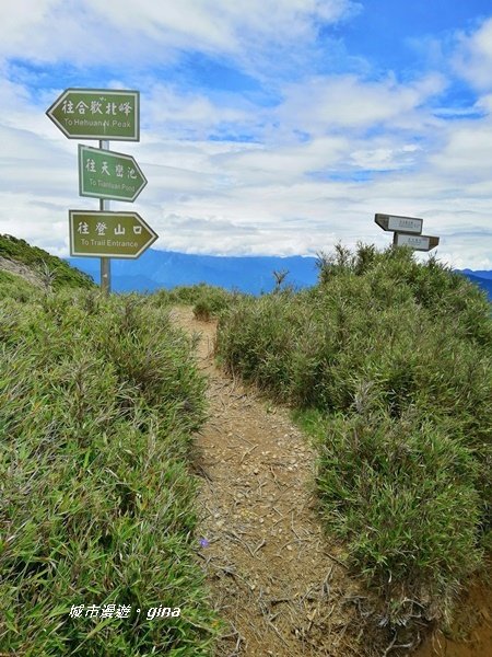 【南投仁愛】箭竹草原全視野~合歡山群最高峰。 No34百岳~