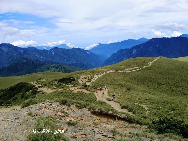 【南投仁愛】箭竹草原全視野~合歡山群最高峰。 No34百岳~