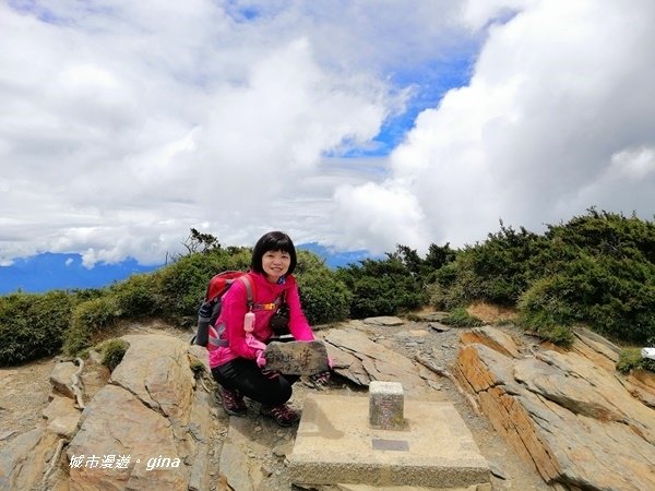 【南投仁愛】箭竹草原全視野~合歡山群最高峰。 No34百岳~