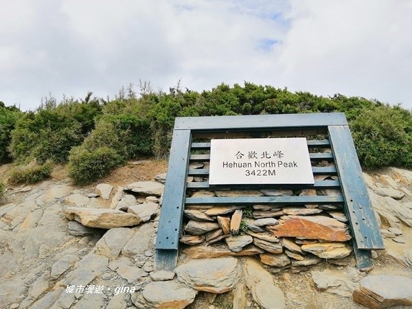 【南投仁愛】箭竹草原全視野~合歡山群最高峰。 No34百岳~