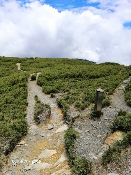 【南投仁愛】箭竹草原全視野~合歡山群最高峰。 No34百岳~