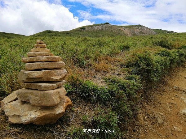 【南投仁愛】箭竹草原全視野~合歡山群最高峰。 No34百岳~